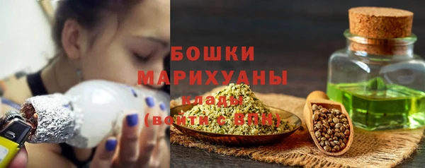 крисы Козловка