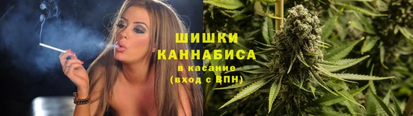крисы Козловка