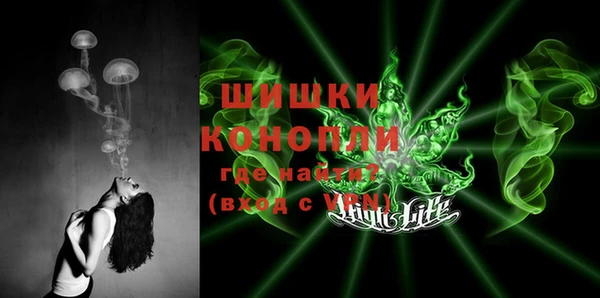 крисы Козловка
