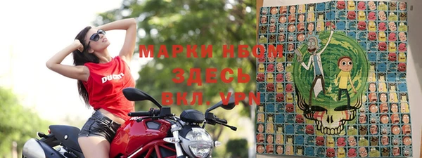 гидра Корсаков
