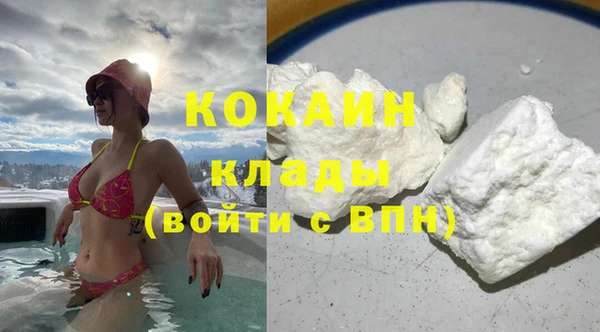 крисы Козловка