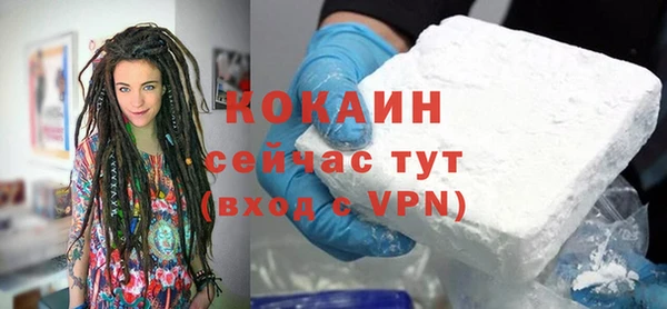 крисы Козловка